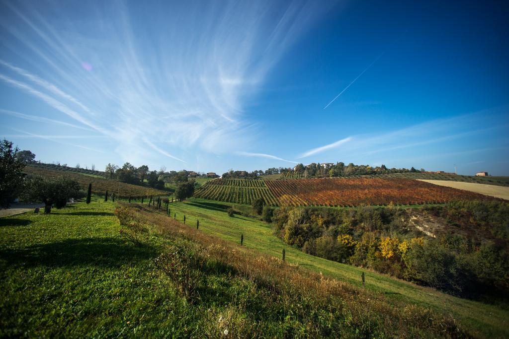 Agriturismo Acetaia Sereni Marano sul Panaro Eksteriør billede